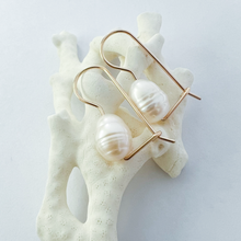 Load image into Gallery viewer, Baroque Euros