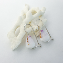 Load image into Gallery viewer, Shell Euros