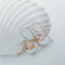 Load image into Gallery viewer, Shell Euros