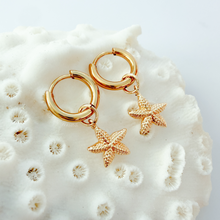 Load image into Gallery viewer, Starfish Huggies