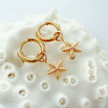 Load image into Gallery viewer, Starfish Huggies