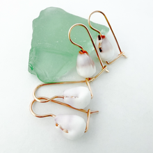 Load image into Gallery viewer, Shell Euros