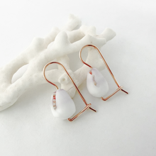 Load image into Gallery viewer, Shell Euros