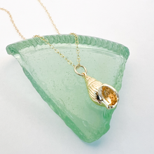 Load image into Gallery viewer, Conch Shell Necklace