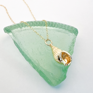 Conch Shell Necklace