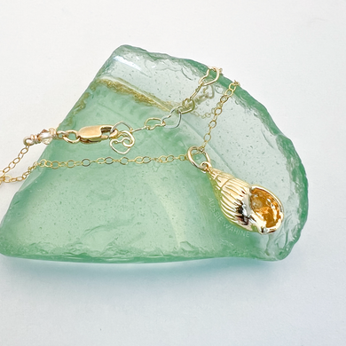 Conch Shell Necklace