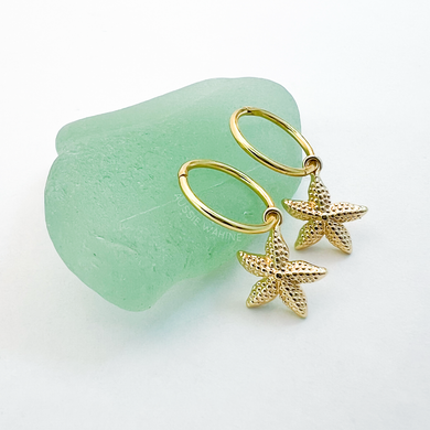Starfish Sleepers