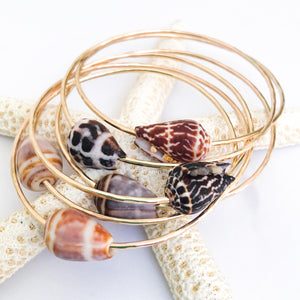 Beach Bangle with Cone Shell - Aussie Wahine