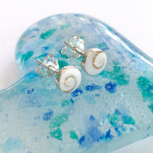 Load image into Gallery viewer, Shiva Shell Studs - Aussie Wahine